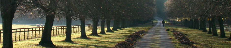 The Annex – Southend-on-Sea